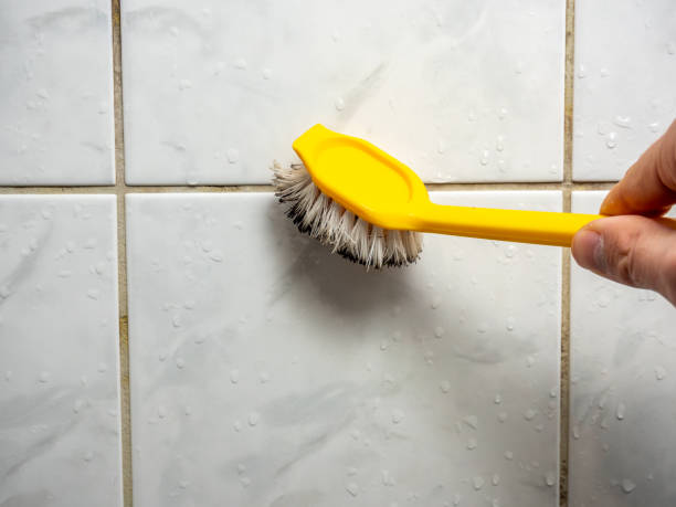 Best Mold Remediation  in Perryville, MO