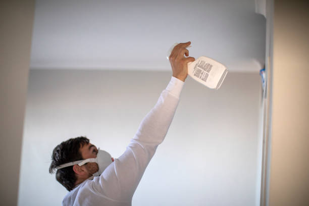 Best Home Mold Removal  in Perryville, MO